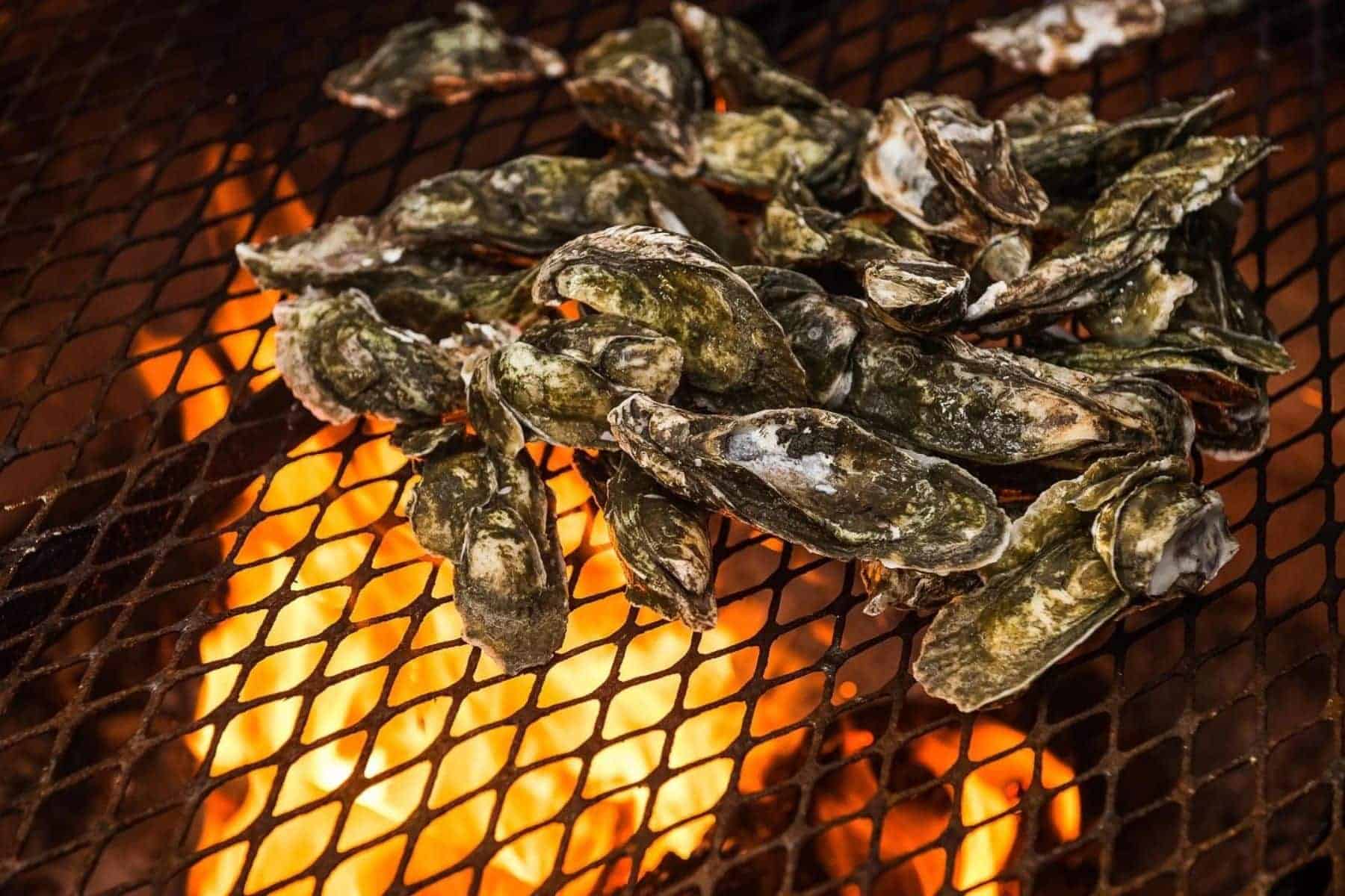 the-lodge-at-little-st-simons-island-georgia-oyster