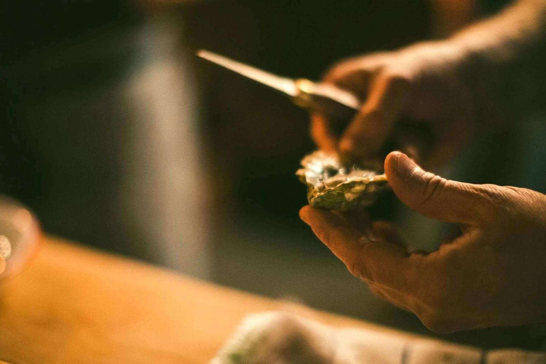 the-lodge-at-little-st-simons-island-georgia-shell