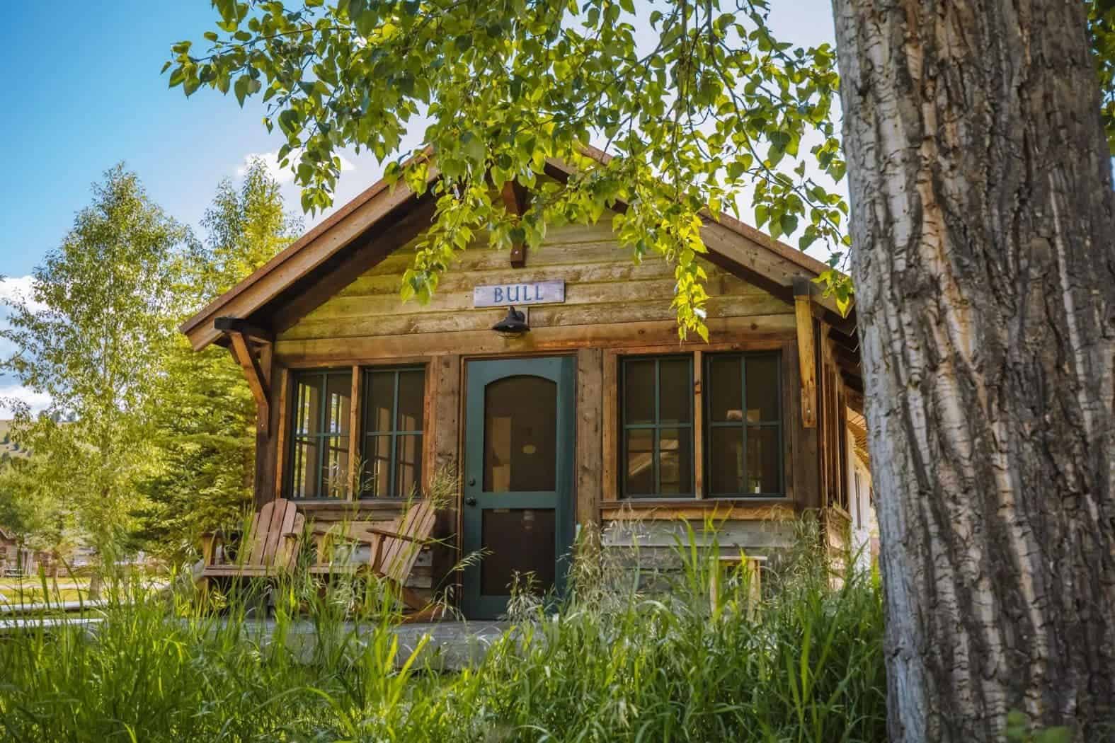 The Ranch At Rock Creek Philipsburg Montana Bull