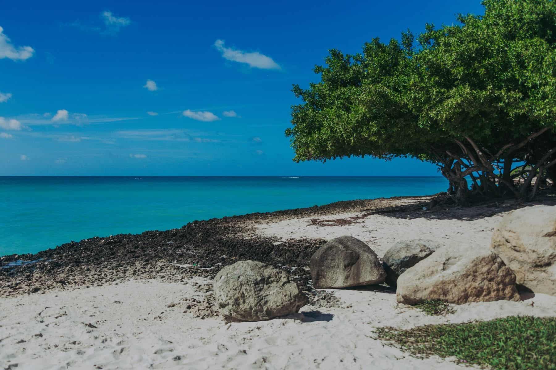 things-to-do-in-aruba-eagle