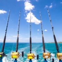 Go Sport Fishing on a Charter Boat