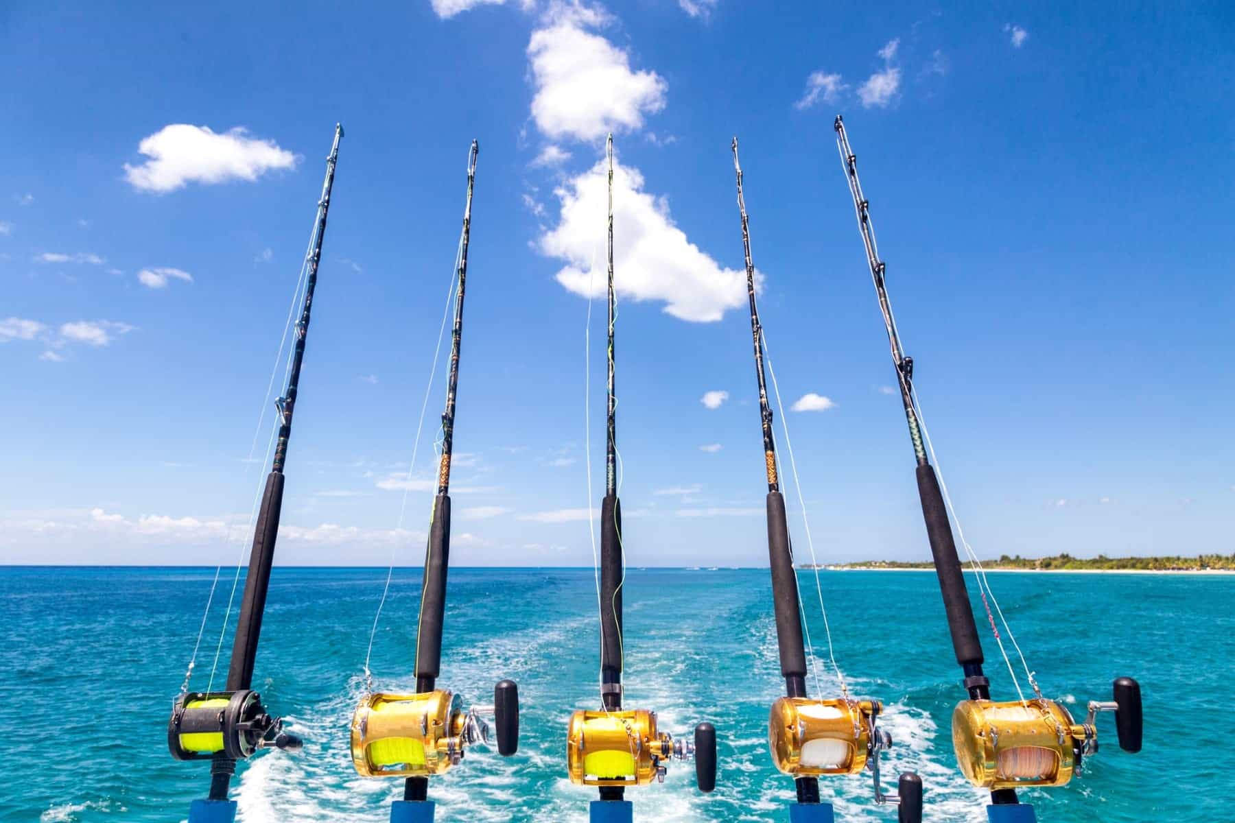 Go Sport Fishing on a Charter Boat