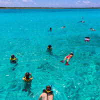 Snorkel With Sea Life