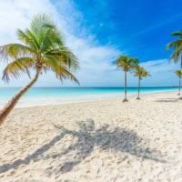 Take A Dip In The Ocean At Playa Paraiso