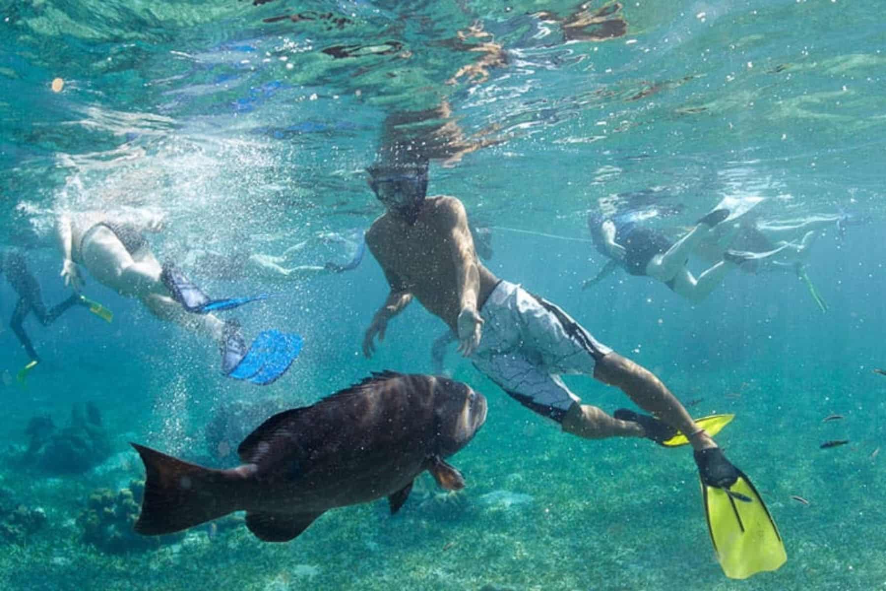 Victoria House Resort And Spa Snorkel