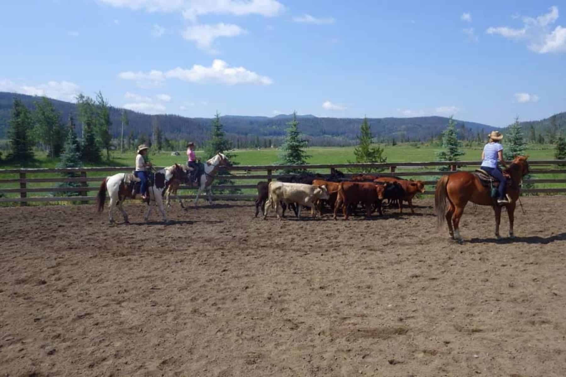 vista-verde-guest-ranch-clark-colorado-barns