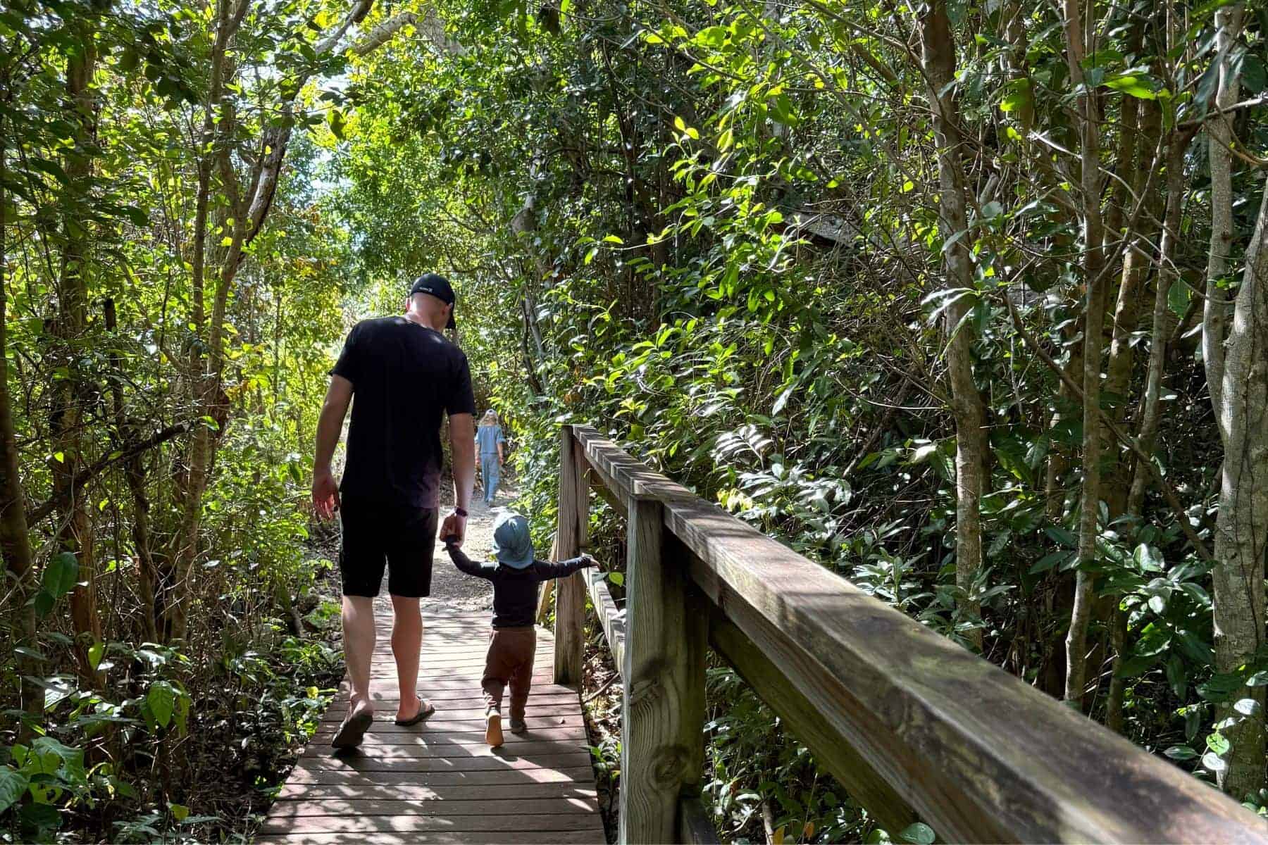 viva-fortuna-wyndham-beach-resort-advertorial-lucayan-national-park