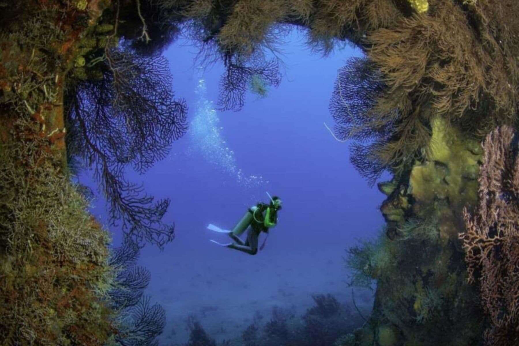 windjammer-landing-villa-beach-resort-diving