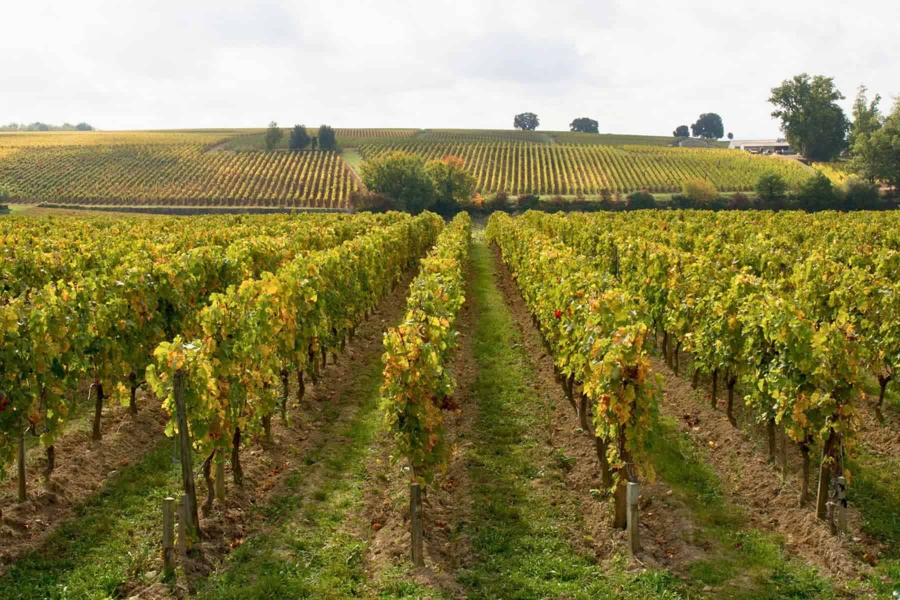 Wine Regions Of Bordeaux