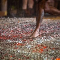 Witness Firewalkers On Beqa Island
