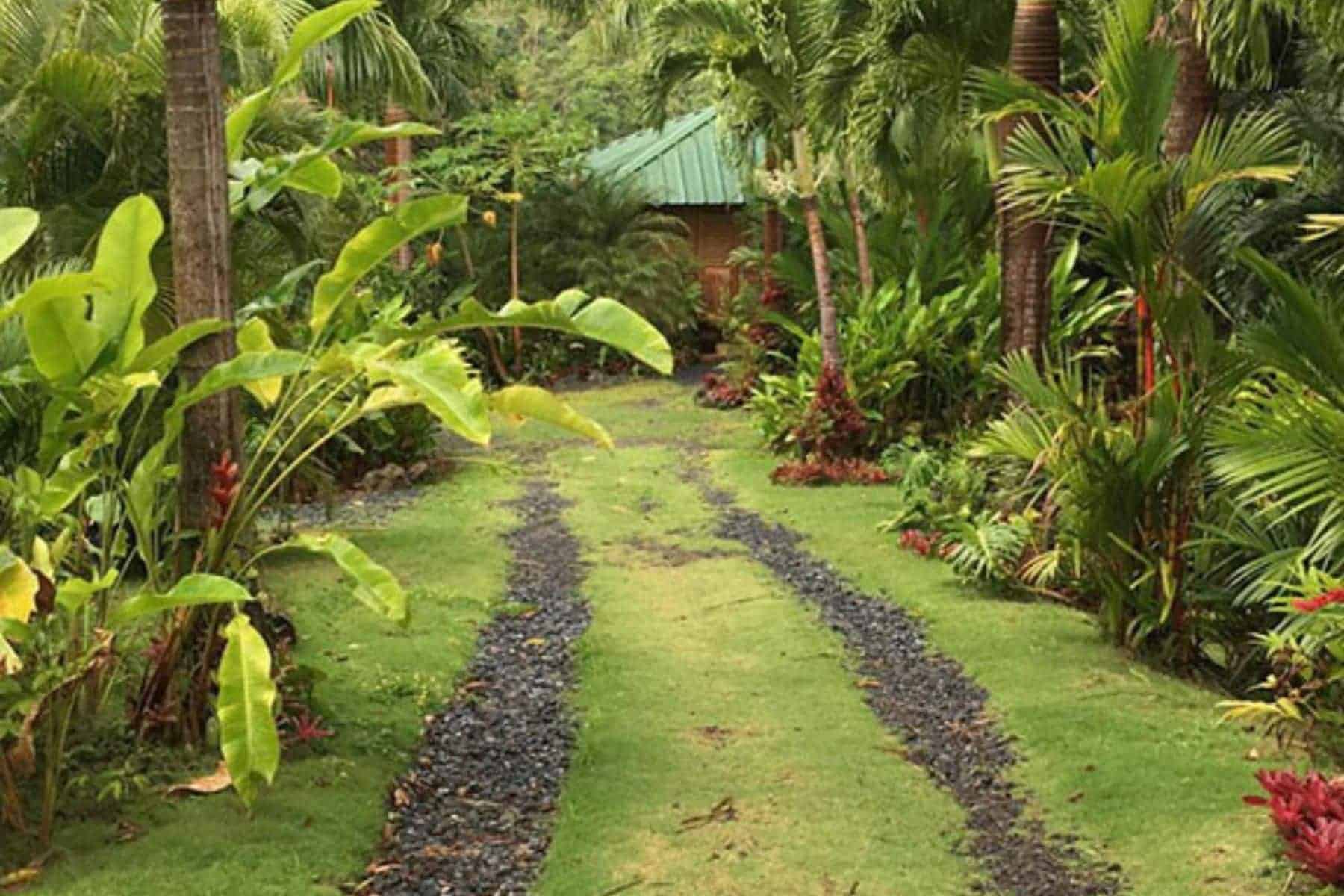 yuquiyu-treehouses-driveway