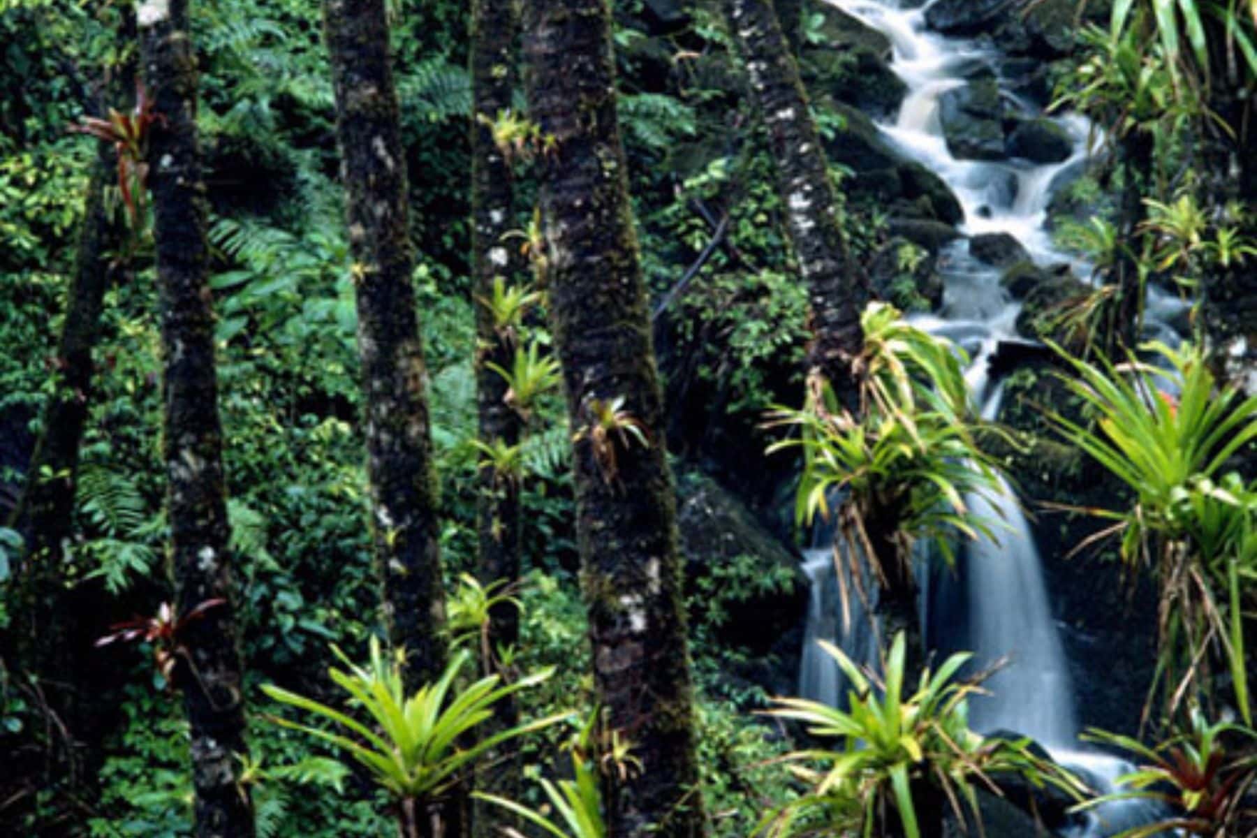 Yuquiyu Treehouses Falls