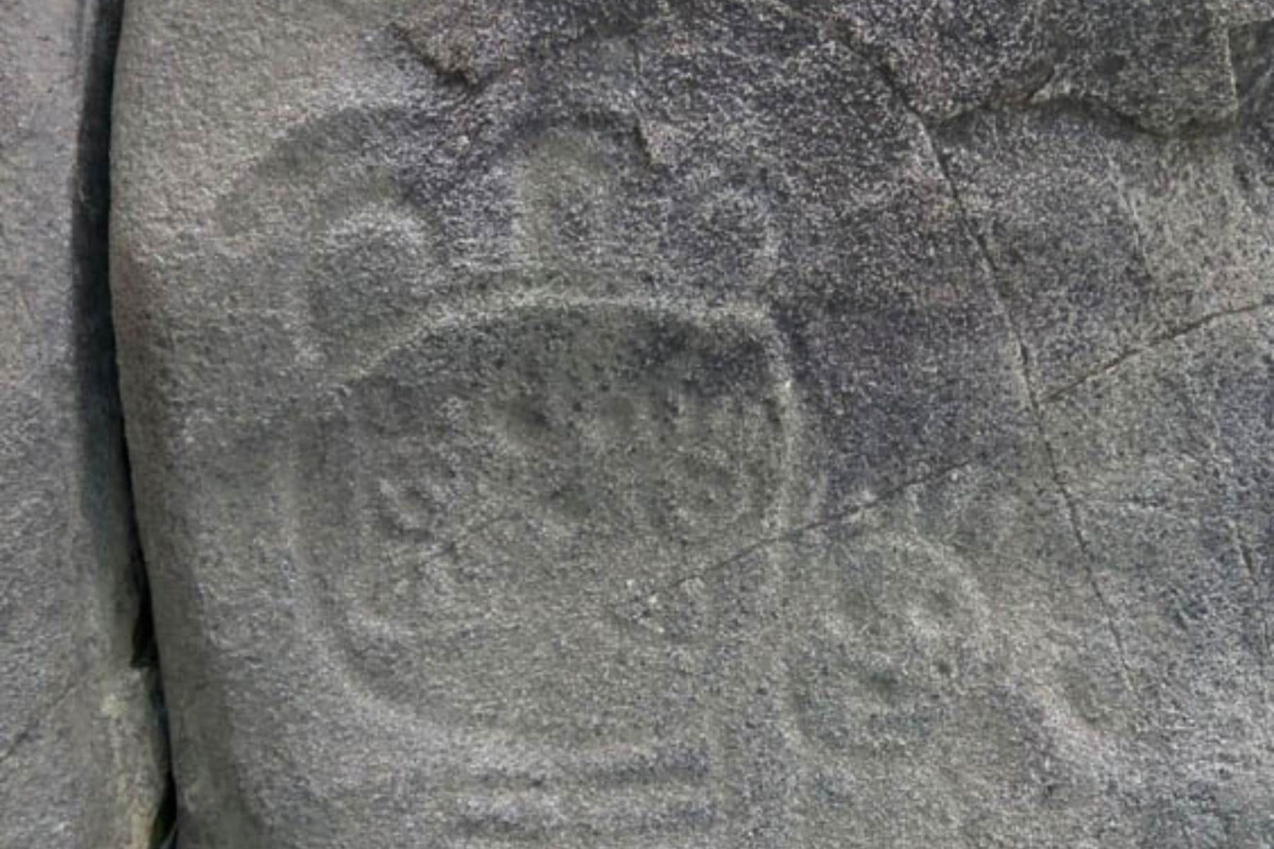 yuquiyu-treehouses-petroglyph