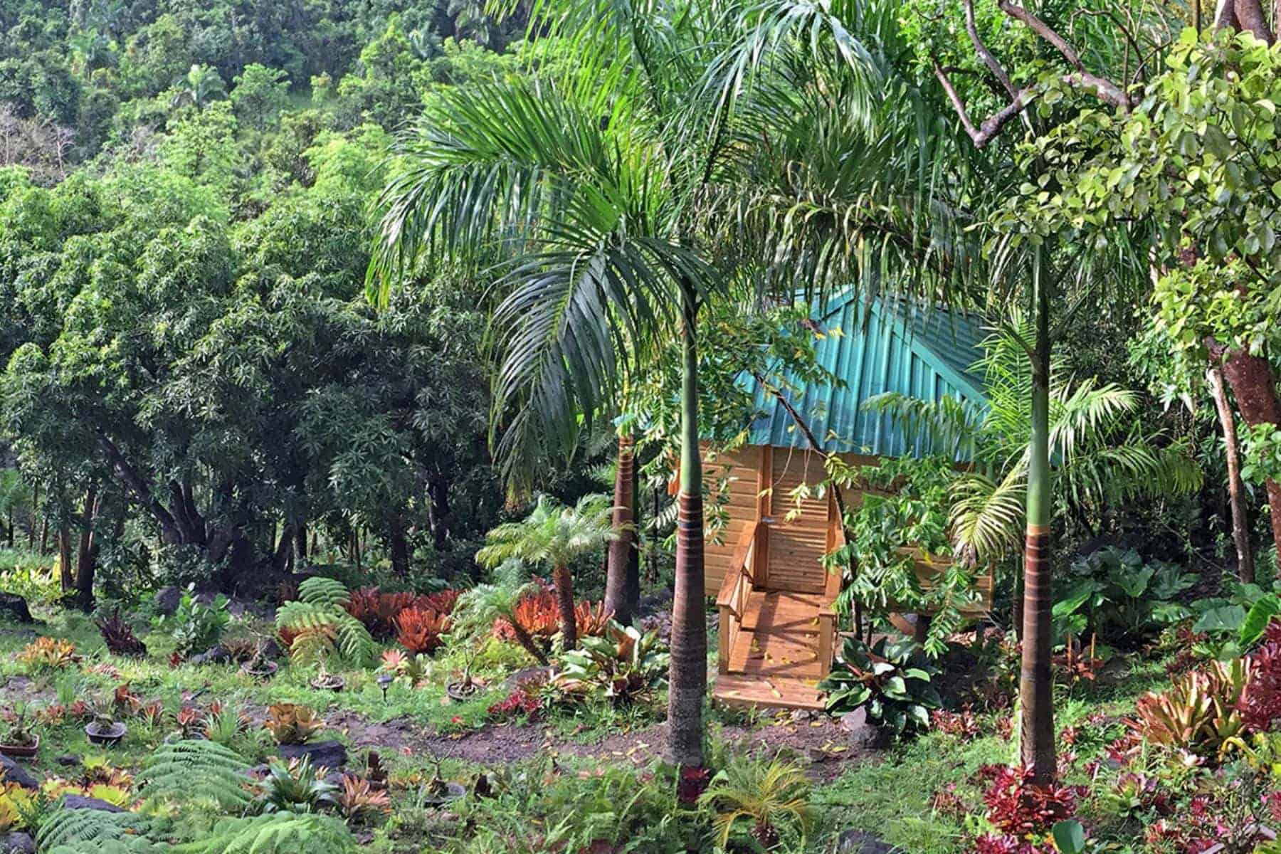 yuquiyu-treehouses-trees
