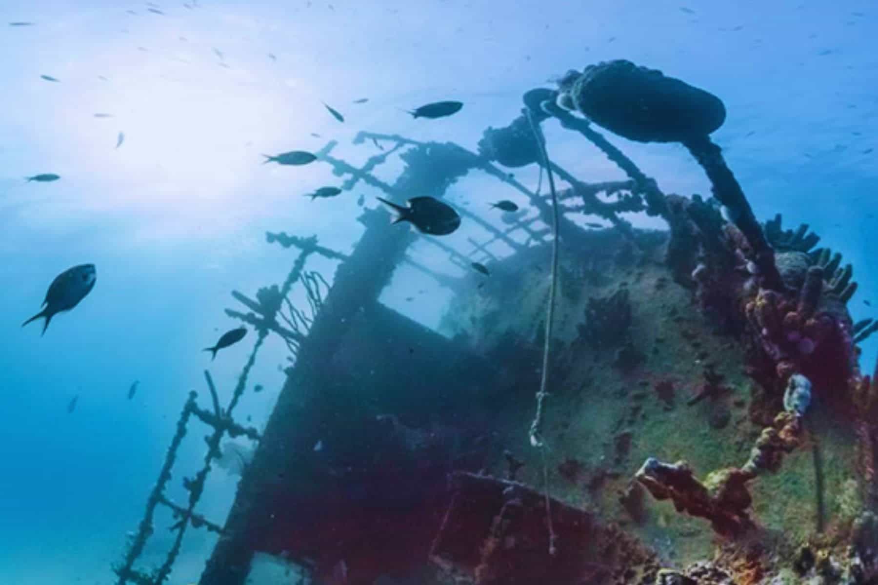 All Inclusive Adults Only Resorts In Aruba Antilla Wreck