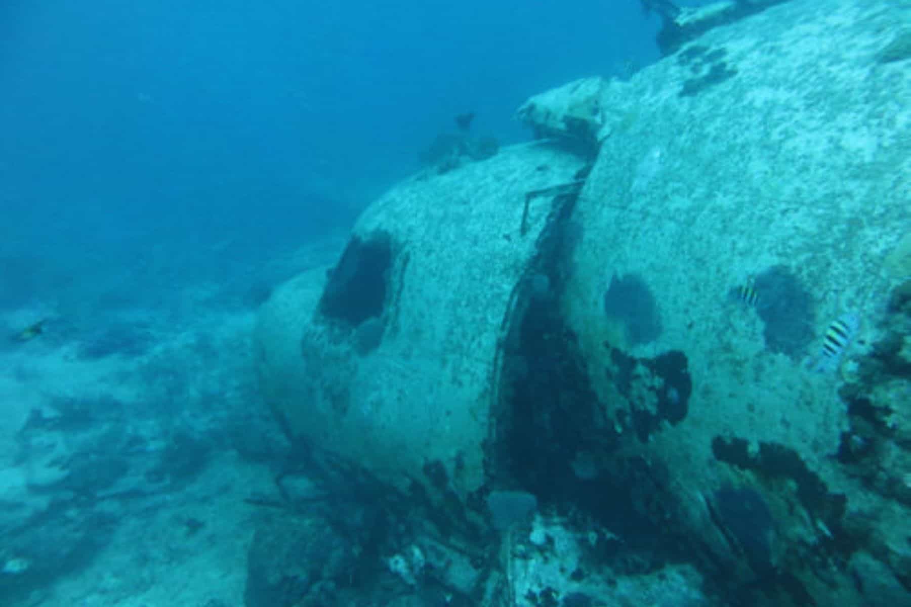 All Inclusive Family Resorts In Aruba Renaissance Dive Site