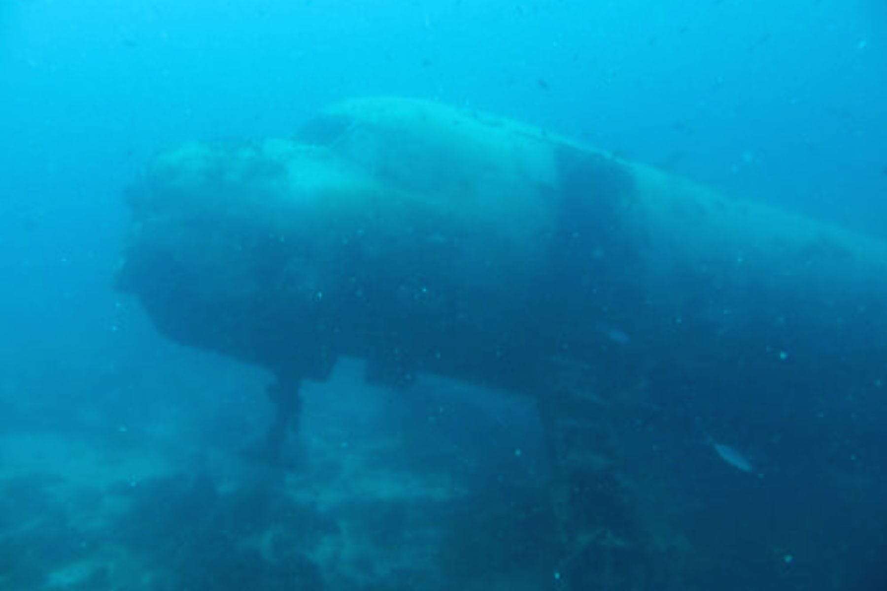 All Inclusive Family Resorts In Aruba Renaissance Island Airplane