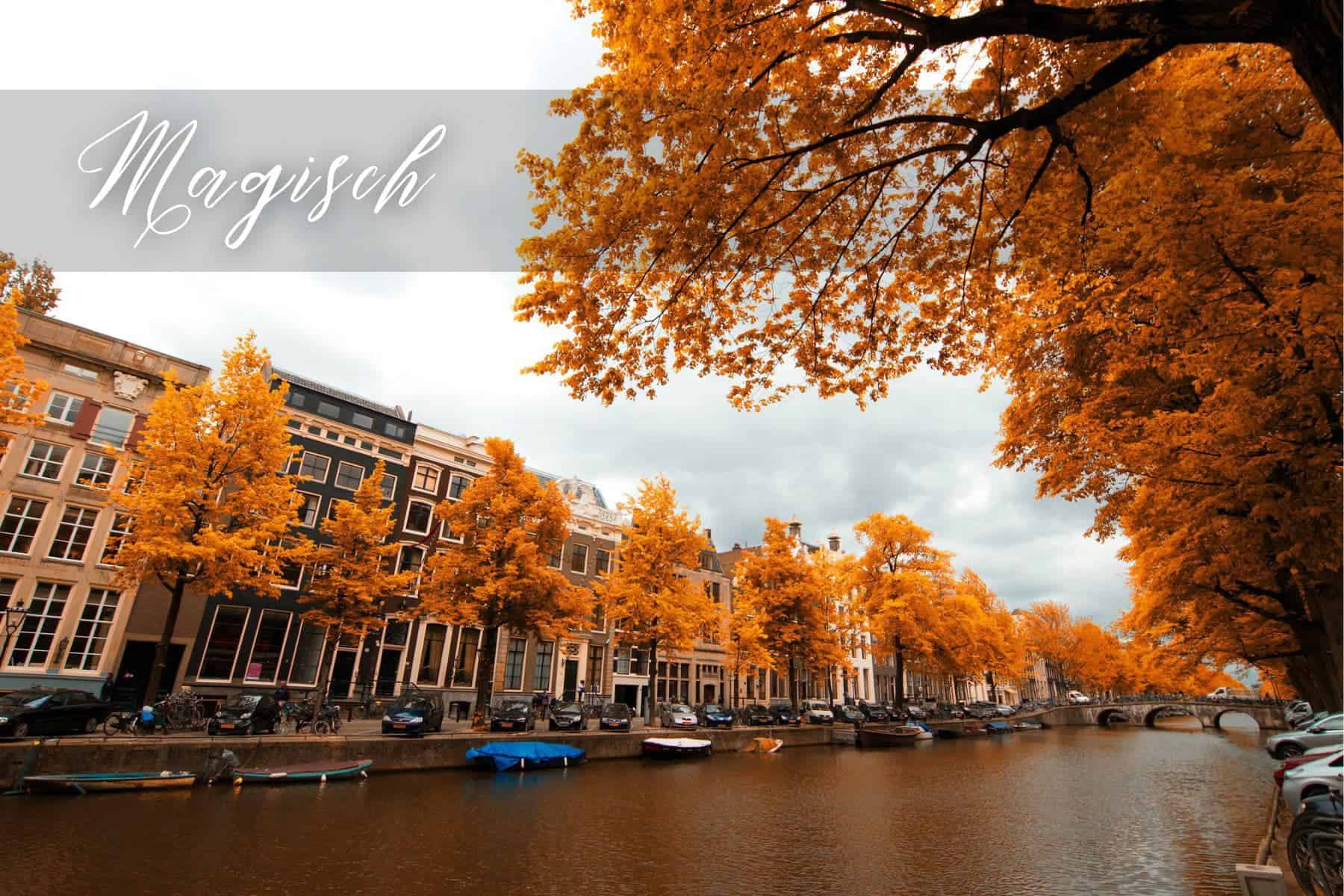 Amsterdam Captions For Instagram Magischs