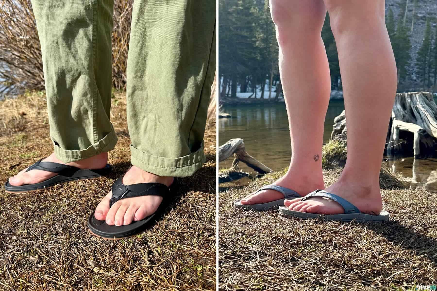 astral-rosa-filipe-flip-flops-compare