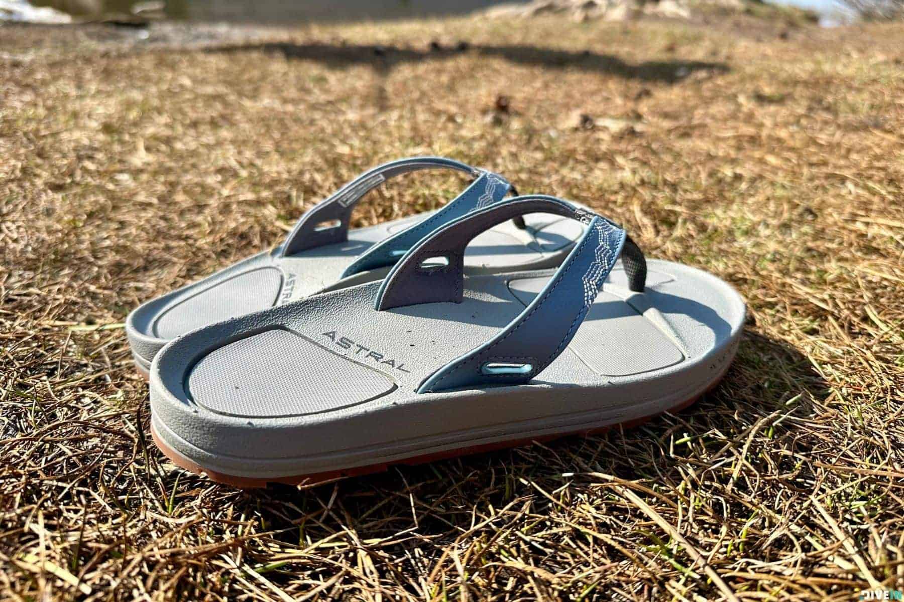 astral-rosa-filipe-flip-flops-side