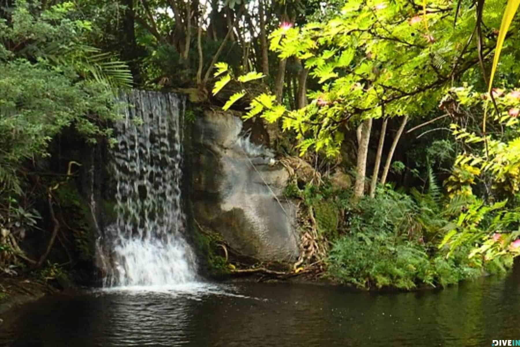 Beautiful Places In The Bahamas To Visit Garden