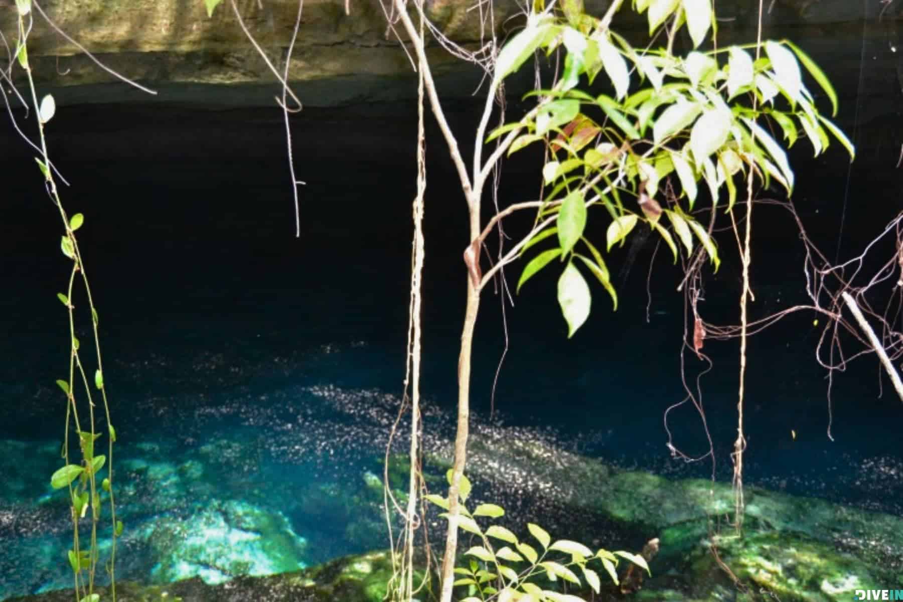 Beautiful Places In The Bahamas To Visit Grand Bahama