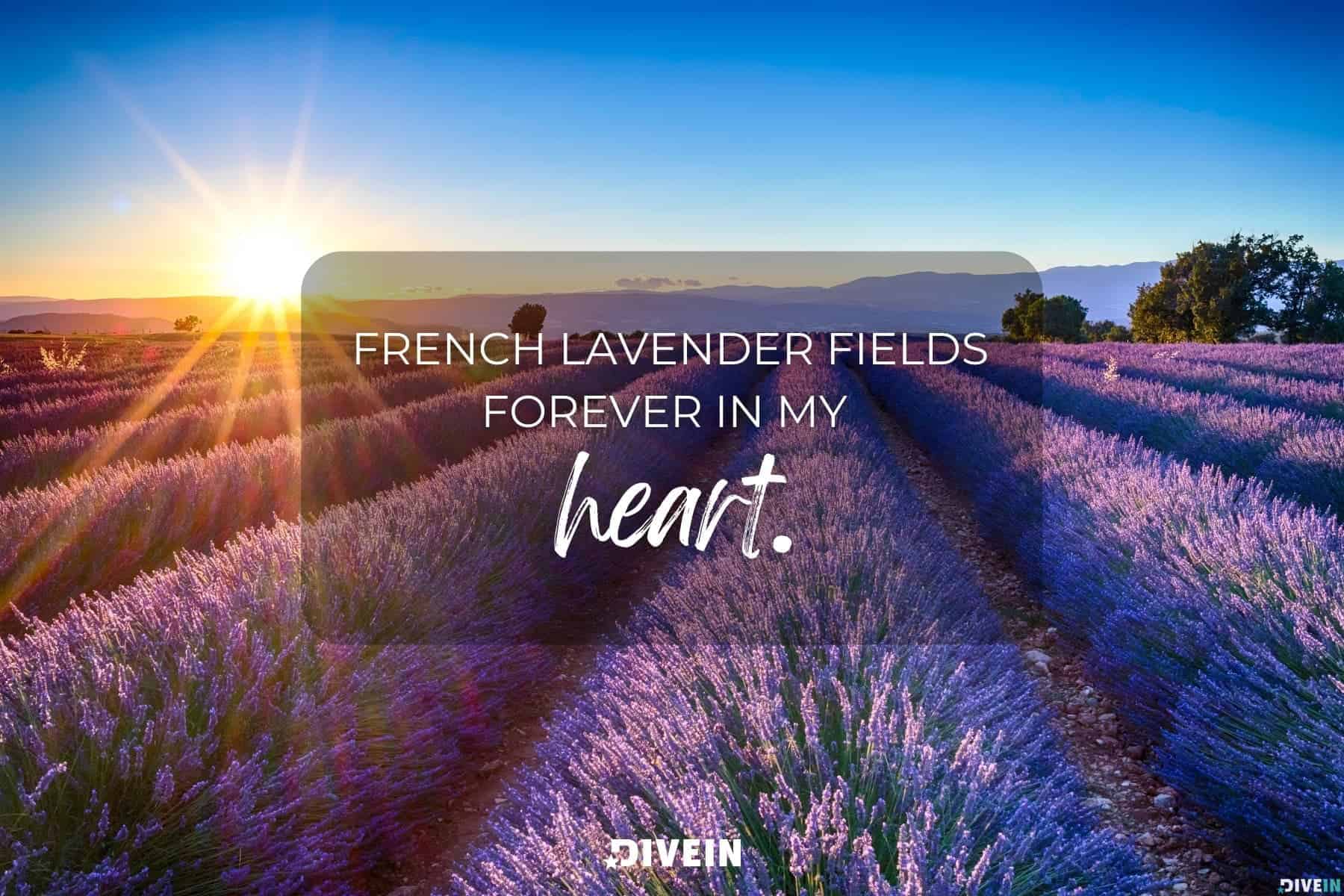 france captions for instagram. making memories that will last a lifetime in france.