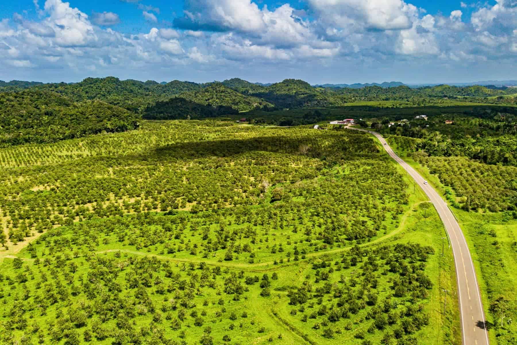 Most Beautiful Places In Belize Hummingbird Highway