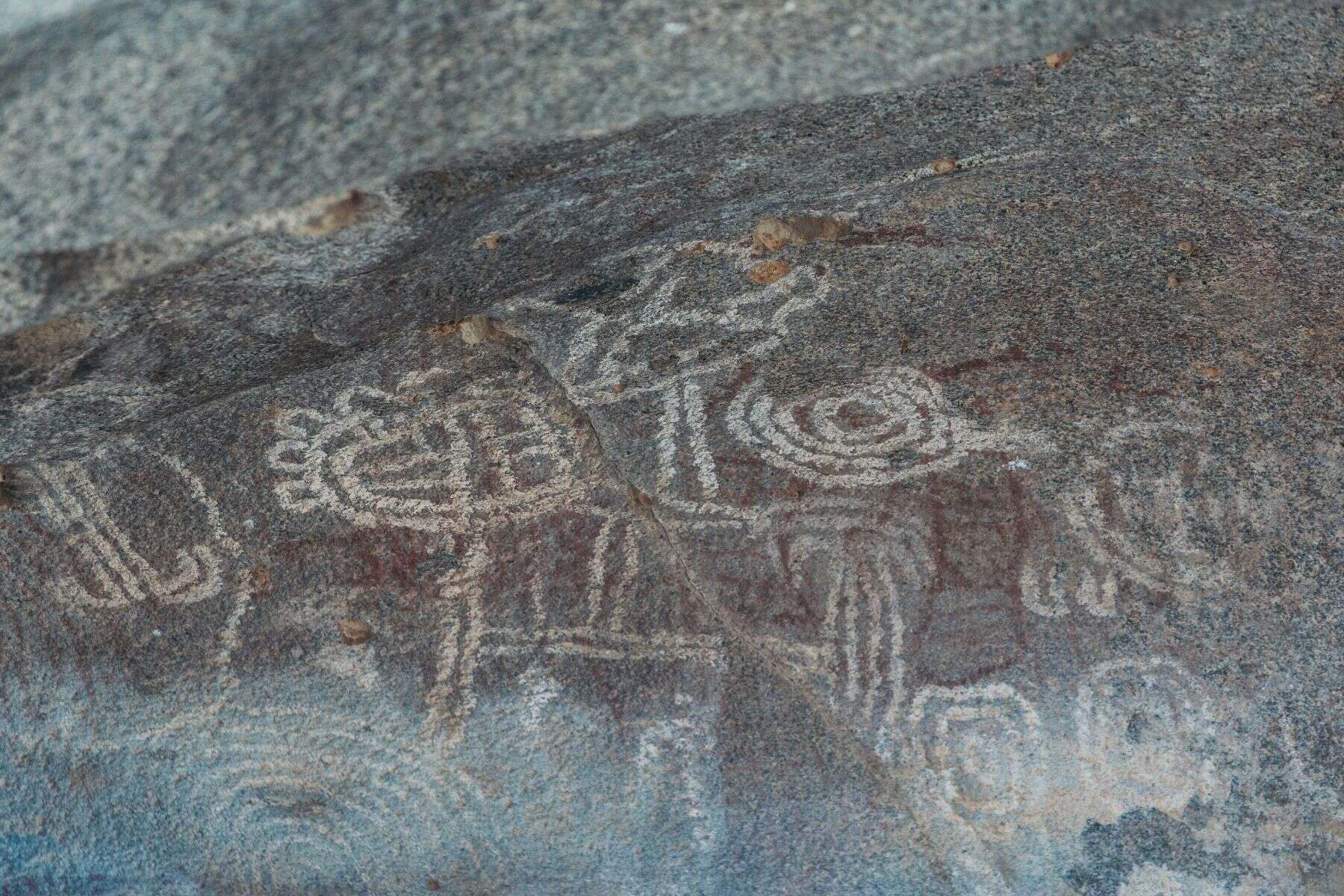 things-to-do-in-aruba-petro