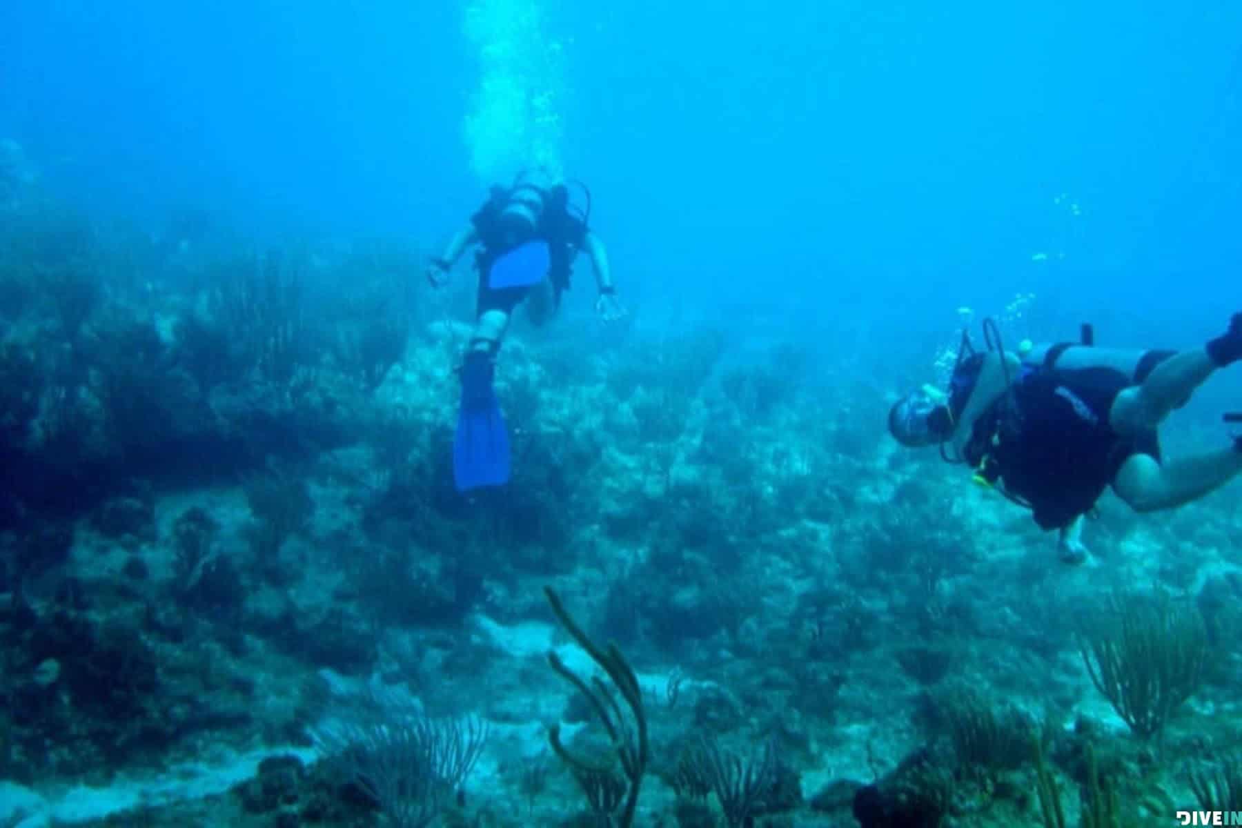 Virgin Islands To Visit Virgin Island Alice In Wonderland